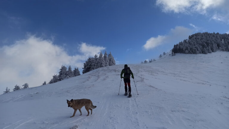 Schneeschuhgeher und Hund auf einem breiten Bergkamm, Tannschwärze, Oberösterreich