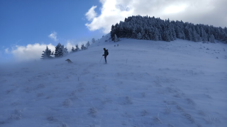 Schneeschuhgeher und Hund auf einem windigen breiten Kamm, Tannschwärze, Oberösterreich