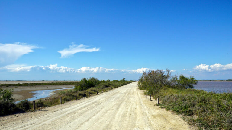 Schotterstraße auf den Dämmen durch den Naturpark Camargue