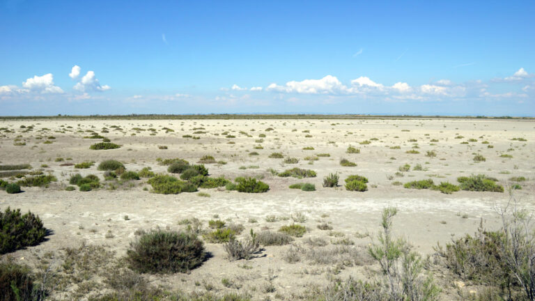 öde Landschaft in der Camargue