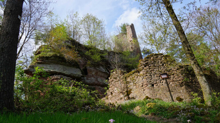 Ruine Wineck im Frühling