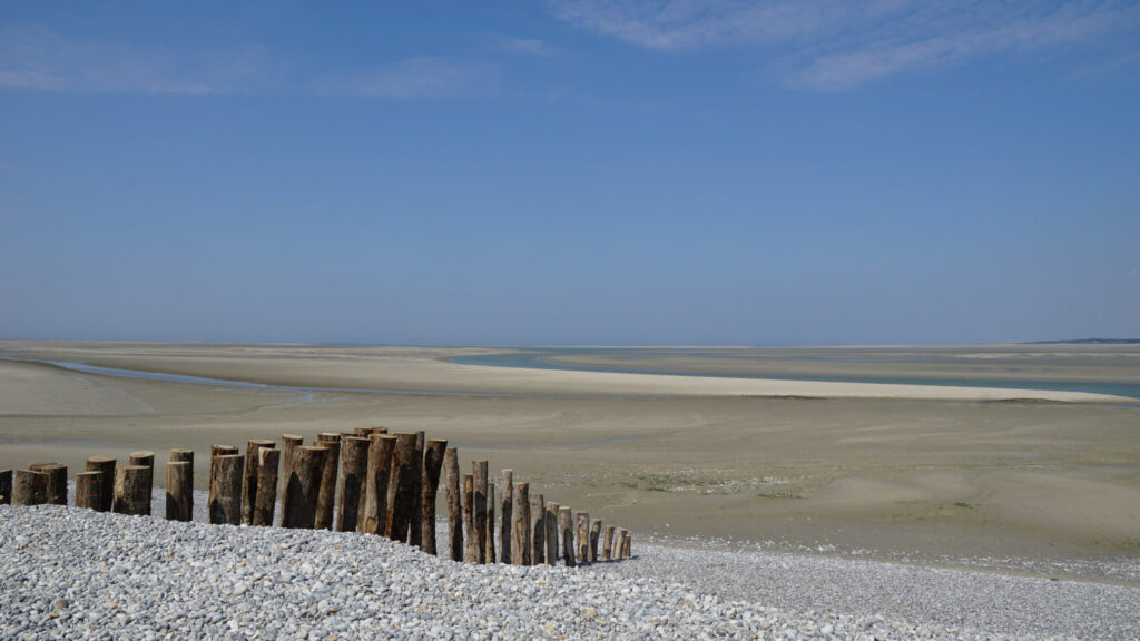 Wellenbrecher aus Holzstämmen vor einer endlos weite Sandfläche bei Ebbe