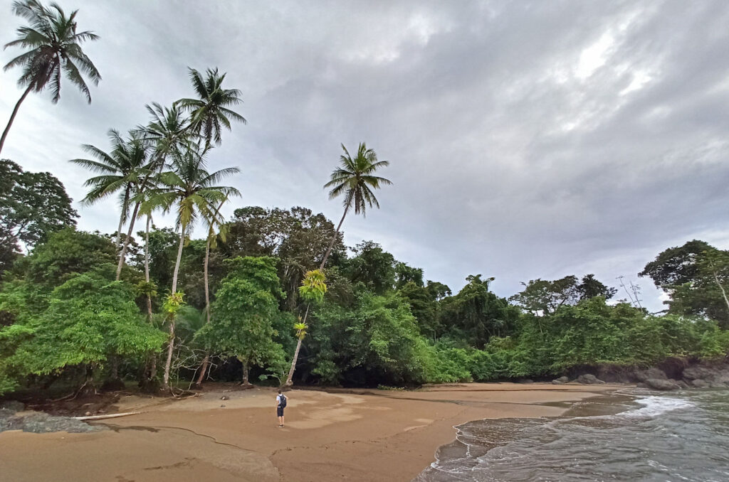 eine Person am Strand mit Palmen