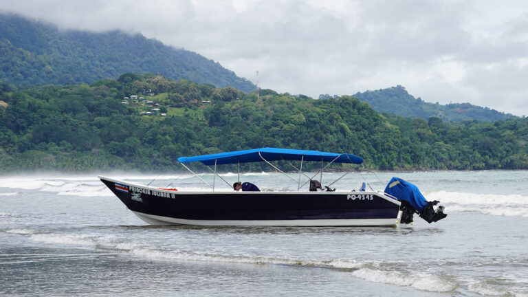 dunkelblaues Motorboot für Whale Watching Touren