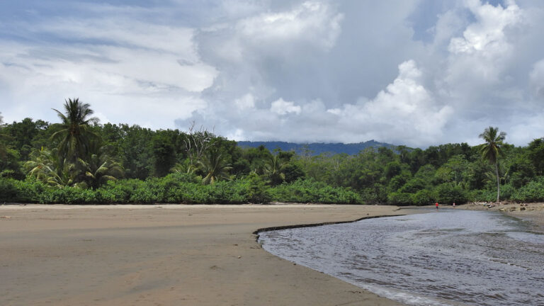 ein Fluss gräbt sich durch den Sandstrand