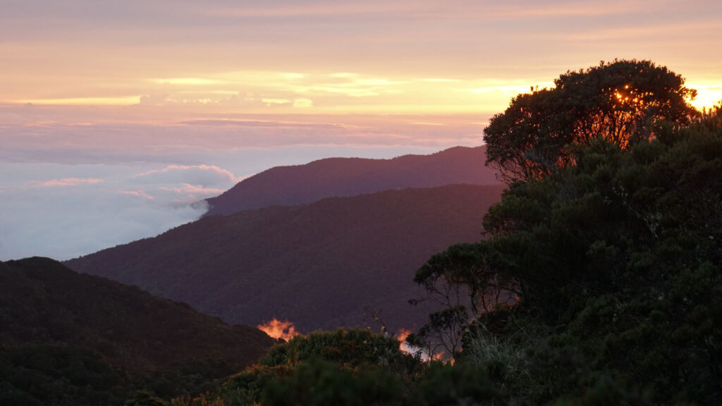 Abendstimmung am Berg, Cerro de la Muerte in Costa Rica