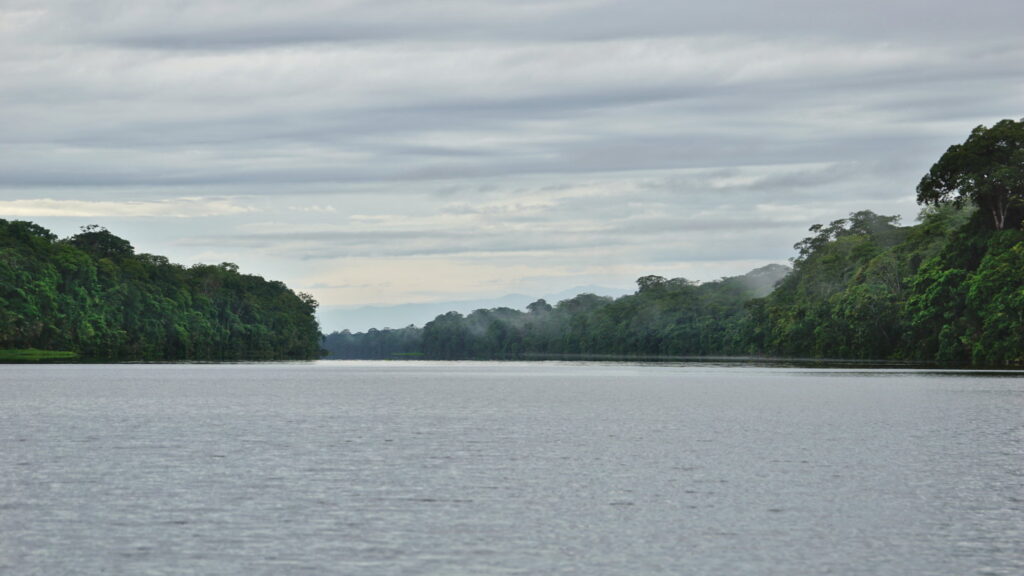 breiter Kanal durch den immerfeuchten Regenwald von Tortuguero