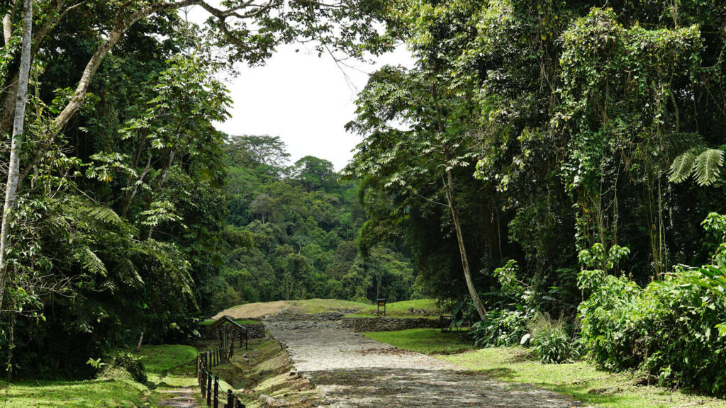 Spuren einer untergegangen Stadt - Nationalmonument Guayabo, Costa Rica