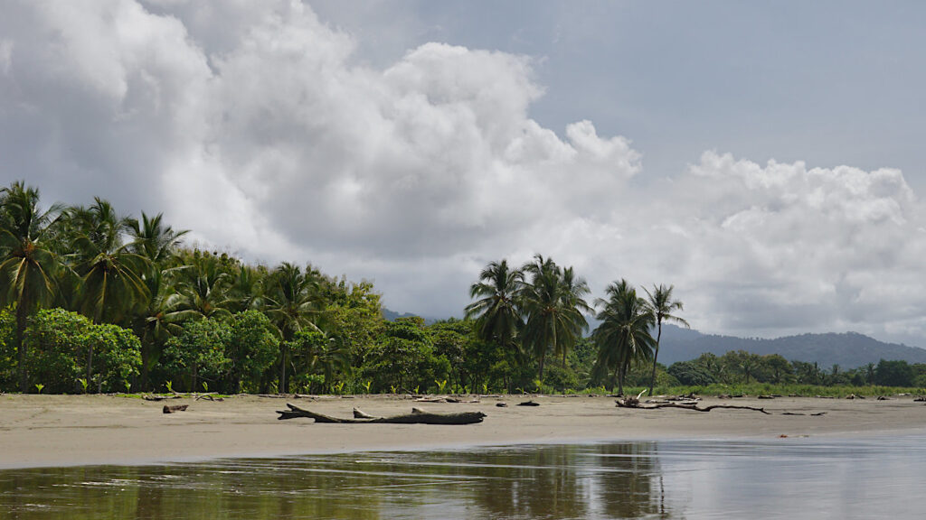 endloser Sandstrand mit Palmen, Playa Matapalo in Costa Rica, Pazifikküste