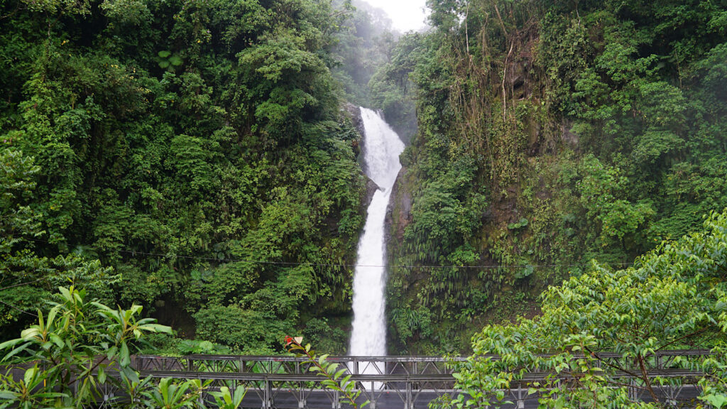 hoher Wasserfall im Regenwald, La Paz, Costa Rica