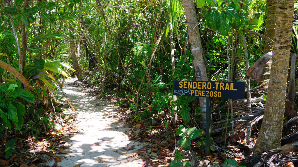 sandiger Pfad durch tropischen Wald, Cahuita