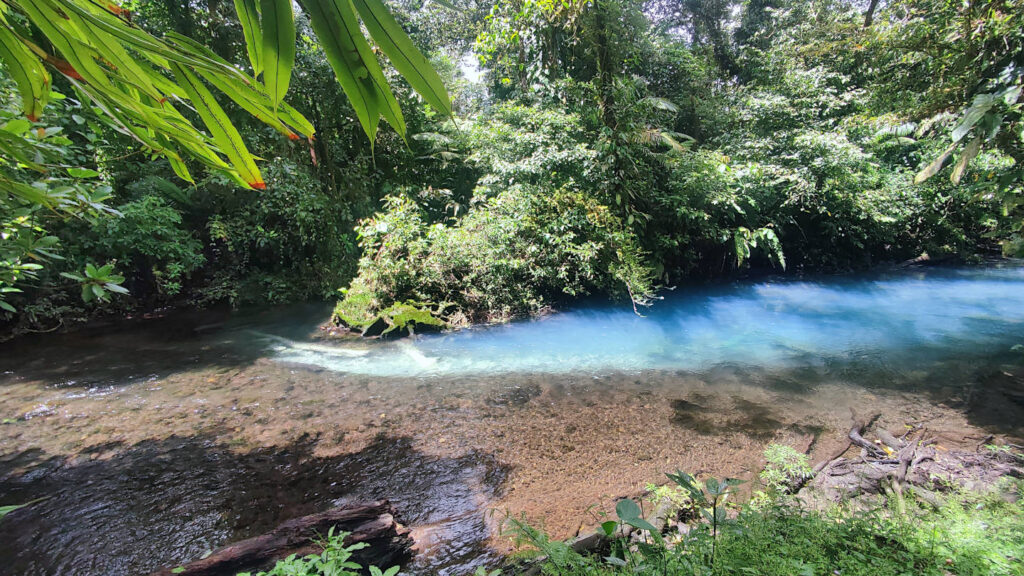 zwei klare Flüsse vereinen sich zu himmelblauem Wasser, El Teñidero am Rio Celeste