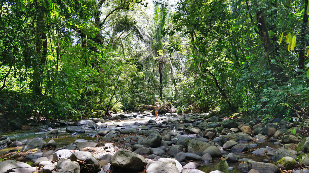 Flussbett durch den Regenwald, Poza Azul bei Dominical, Costa Rica