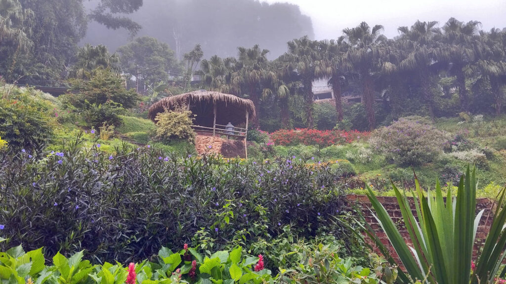 Blumengarten im Bergdorf Doi Pui in der Umgebung von Chiang Mai, Thailand