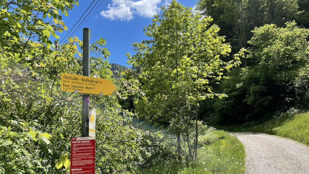 gelber Wander-Wegweiser zum Hochsalm und Windhagkogel zeigt eine Forststraße entlang, Bergtour Oberösterreich, Scharnstein