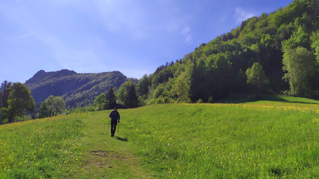 Wanderer auf einer grünen Almwiese mit Blick auf den Westgrat des Schiefersteins (1.206 m) in Oberösterreich