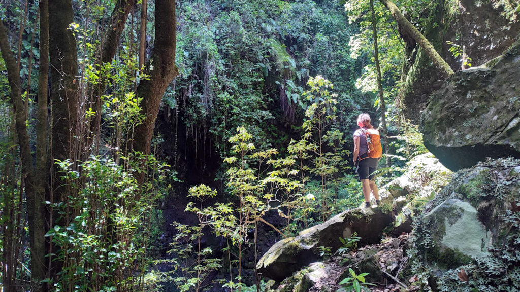 Frau steht vor einer Steilwand die mit Moosen und Farnen bewachsen ist und blickt hinauf, Levada do Rei auf der Insel Madeira