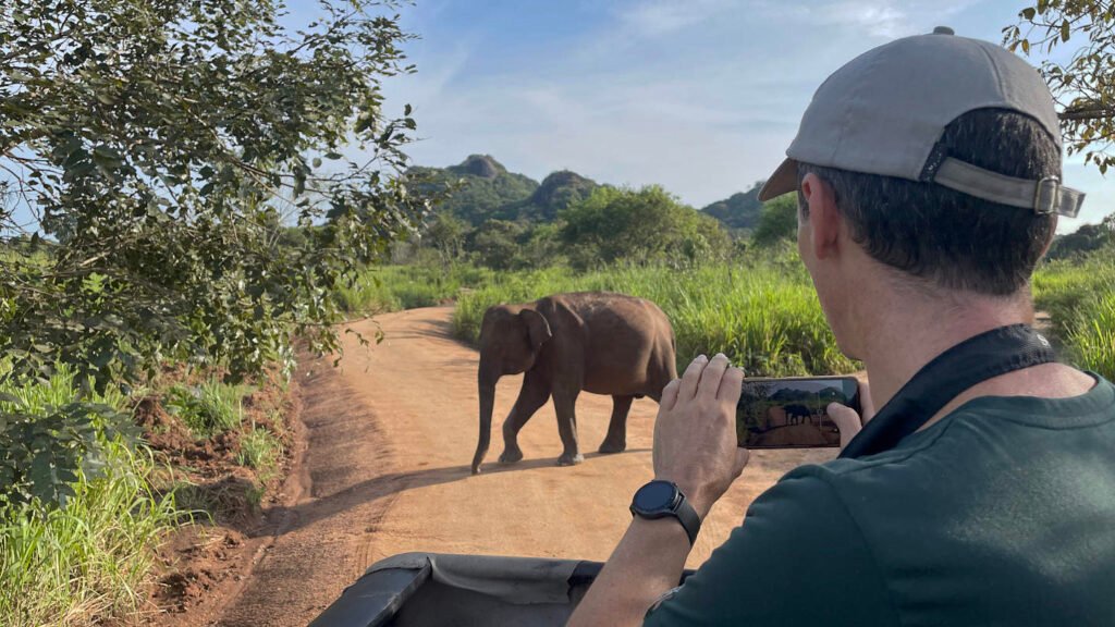 Mann filmt mit dem Smartphone einen Elefanten im Hurulu Eco Park bei Sigiriya, Sri Lanka