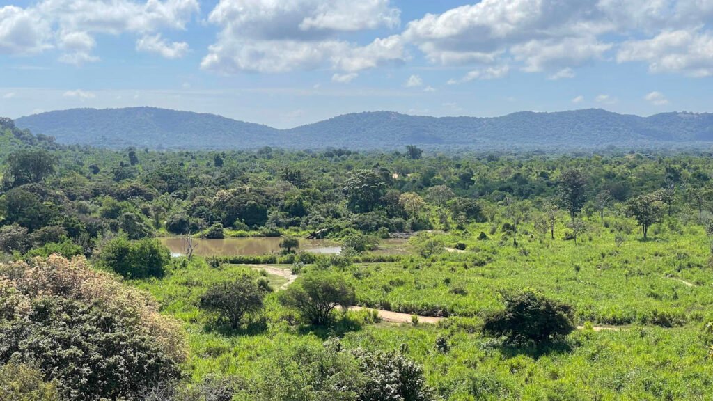weitläufig grüne Landschaft im Hurulu Eco Park in der Umgebung von Sigiriya, Sri Lanka