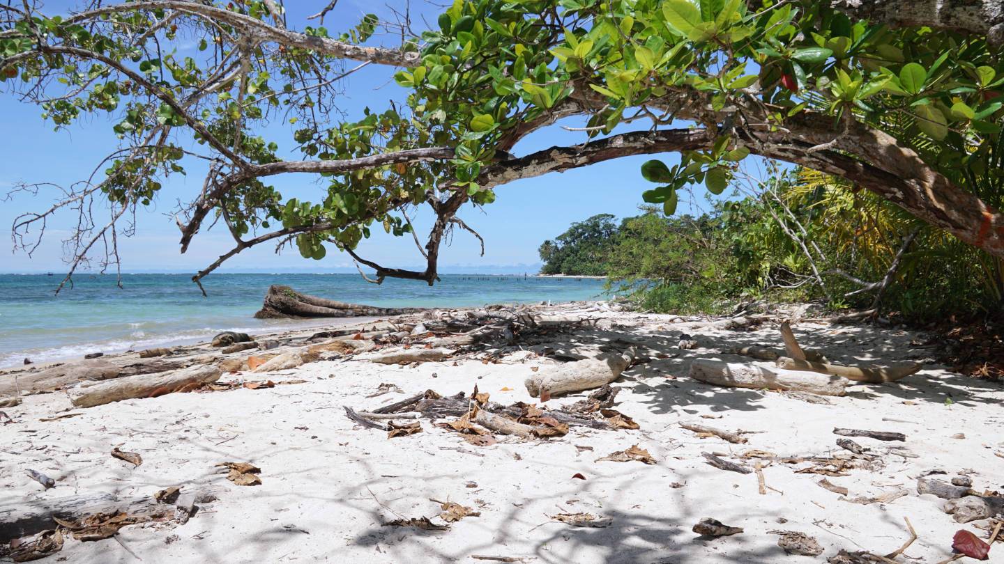 Strand Cahuita